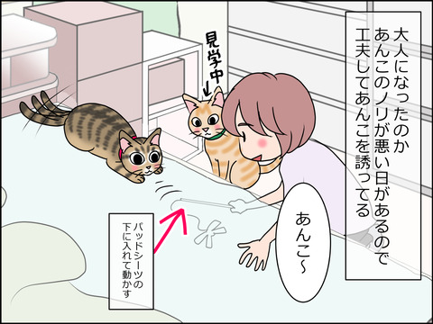 あんこ&麦STORY1445a