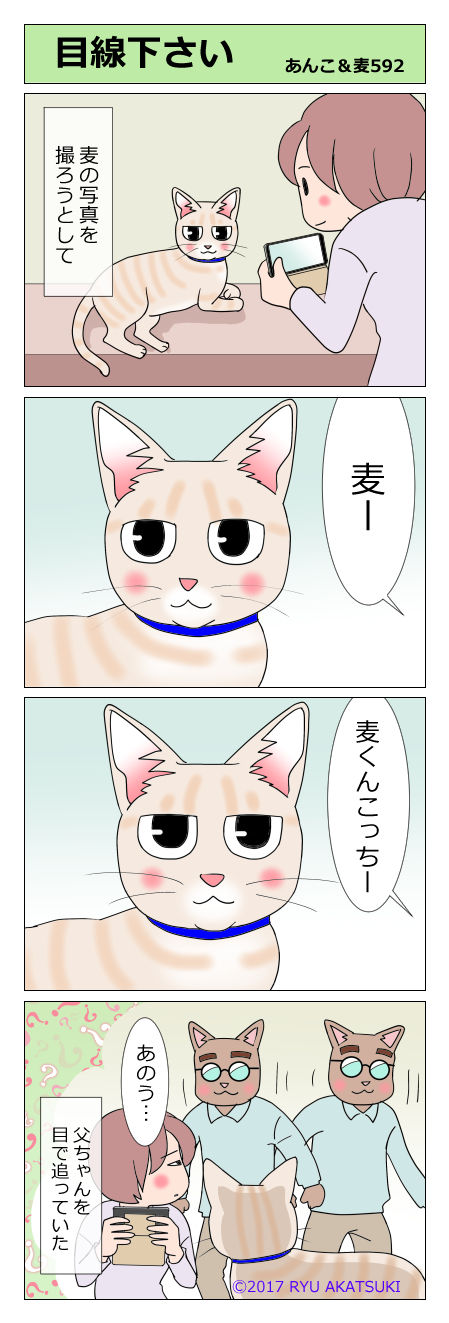 あんこ&麦STORY592