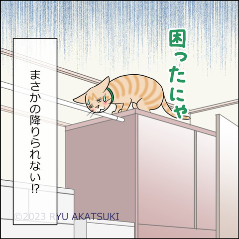 あんこ＆麦STORY1805d