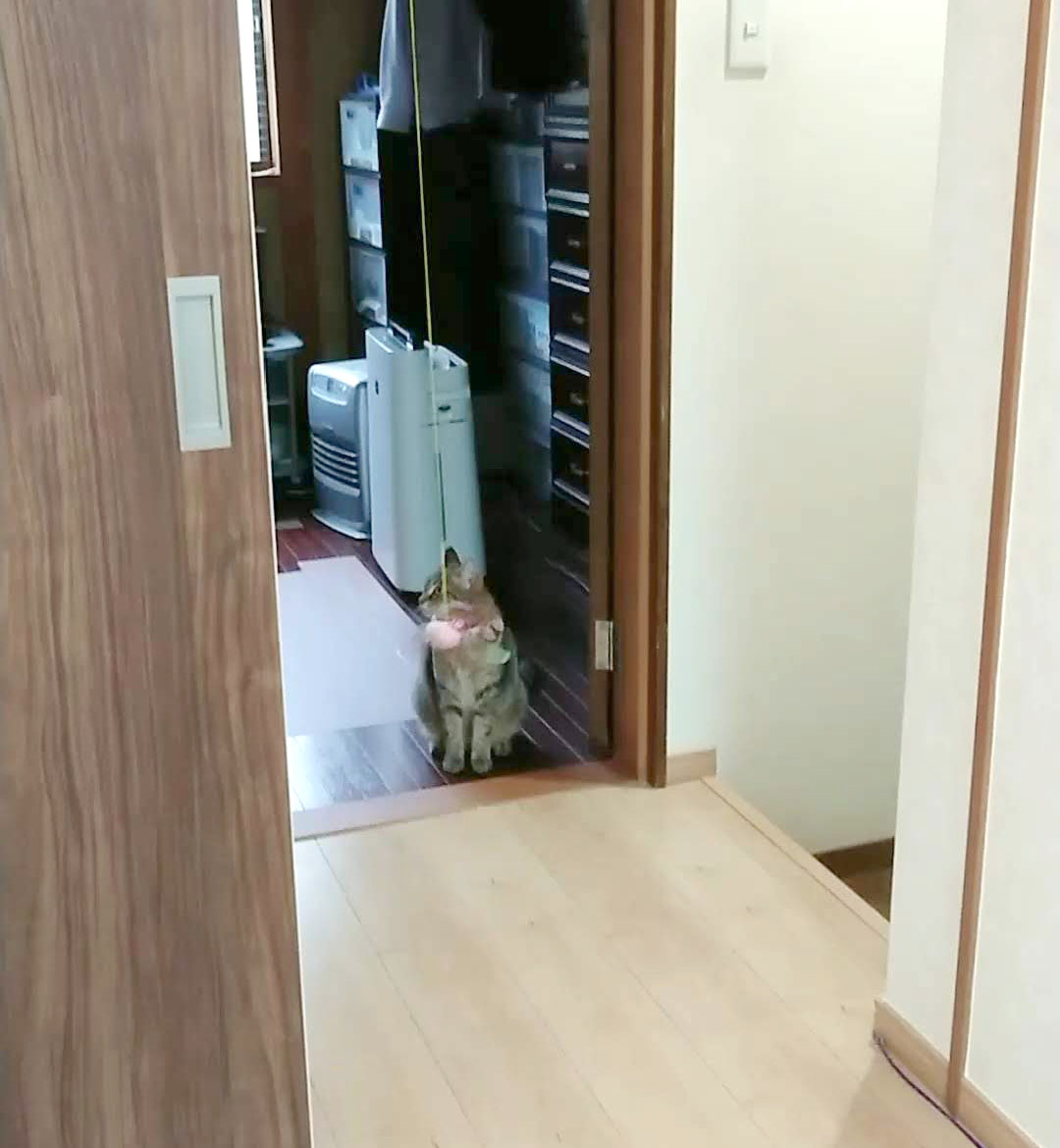 B612_20190430_033924_811_000003