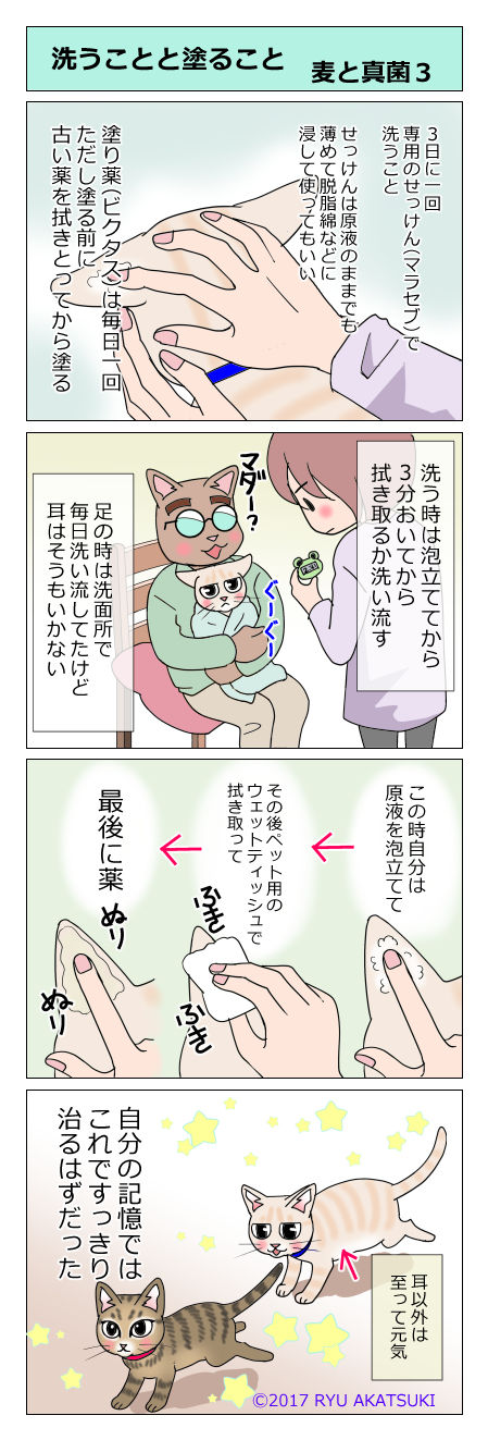 あんこ&麦kenko19
