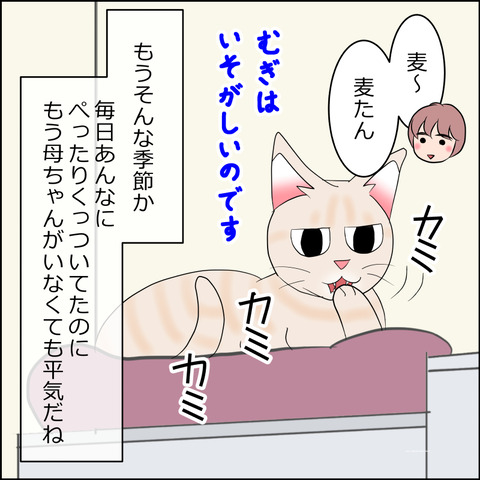 あんこ＆麦STORY2289c