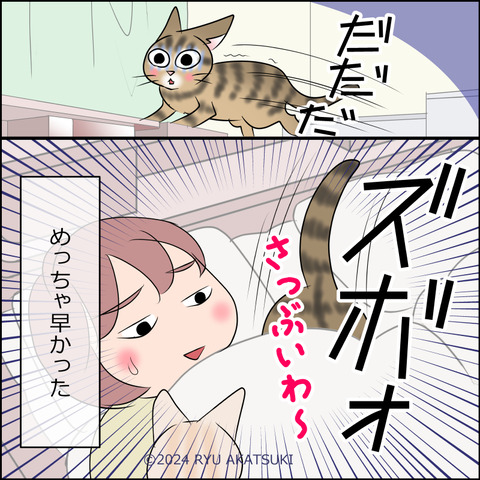 あんこ＆麦STORY2050d