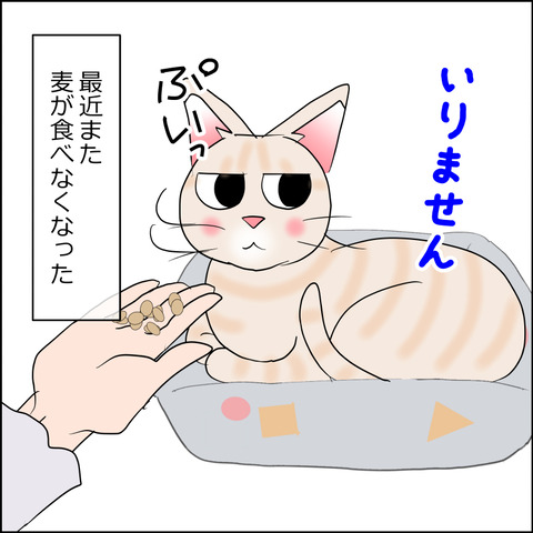 あんこ＆麦kenko135a