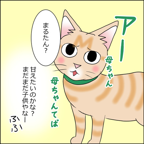 あんこ&麦STORY1662b