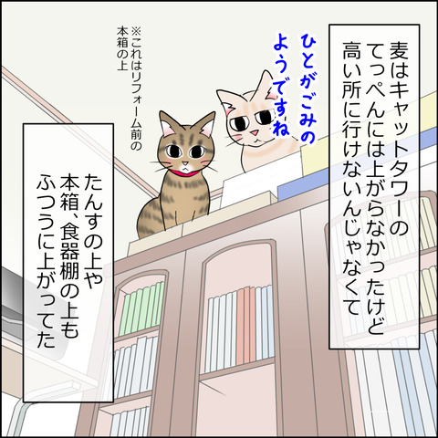 あんこ&麦STORY2495a
