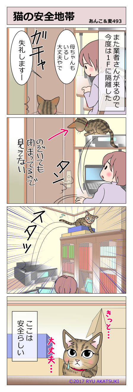 あんこ＆麦STORY493