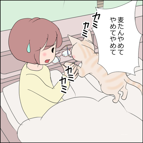 あんこ&麦STORY2292b