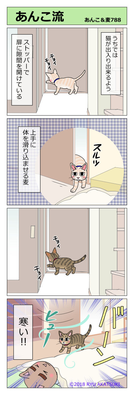 あんこ&麦STORY788