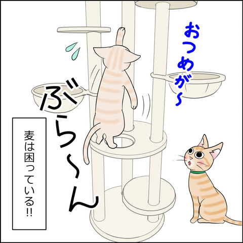 あんこ＆麦STORY2177e