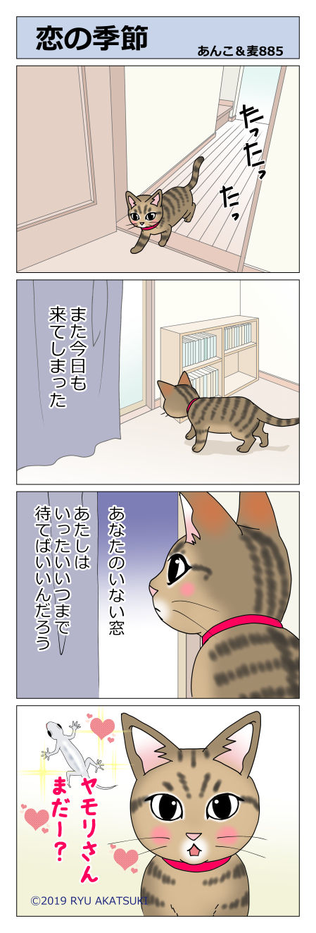 あんこ＆麦STORY885