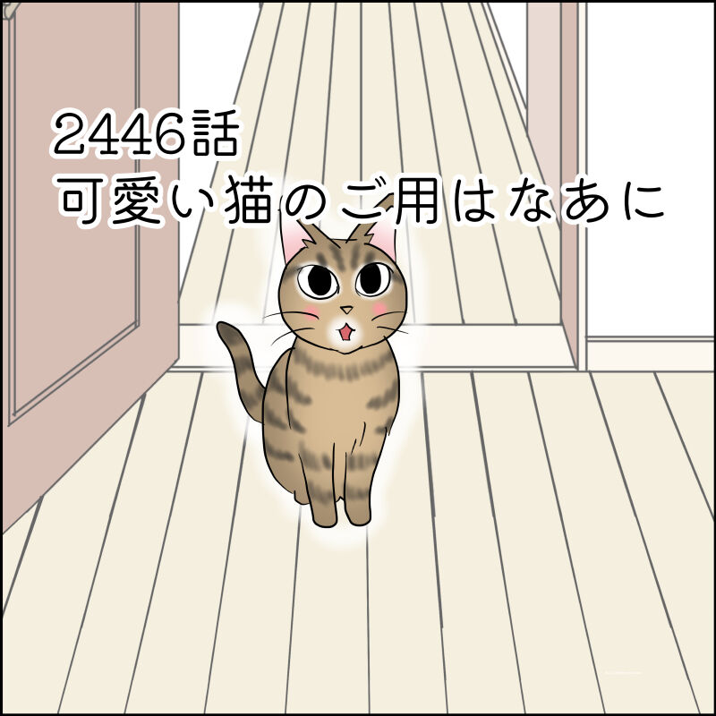 あんこ＆麦2446 可愛い猫のご用はなあに : あんこと麦と Powered by