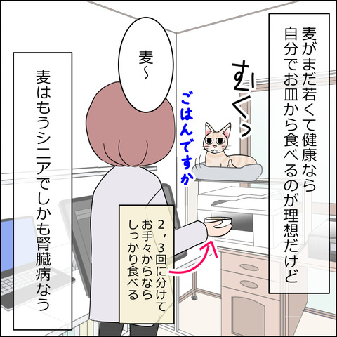 あんこ&麦kenko119c