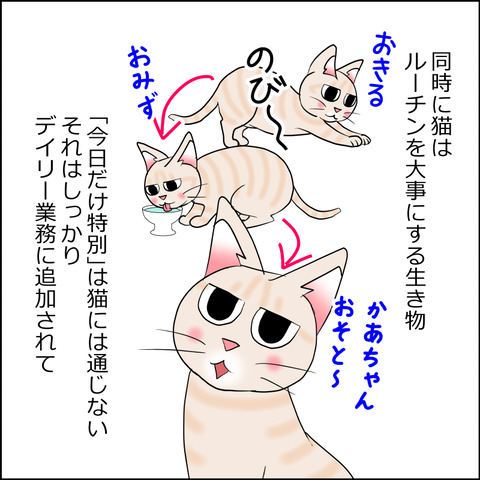 あんこ&麦STORY2384f