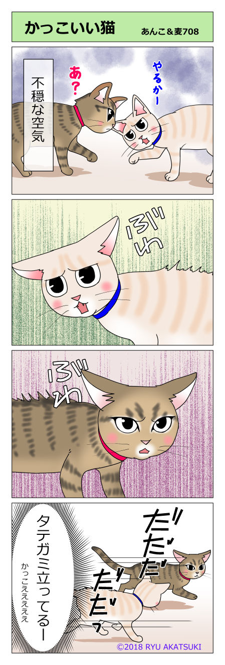 あんこ&麦STORY708