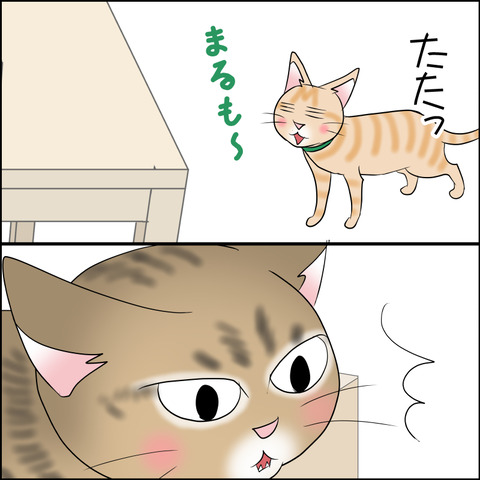 あんこ＆麦STORY2118c