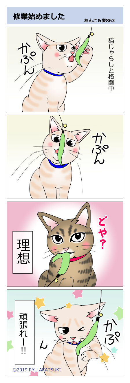 あんこ&麦STORY863