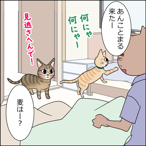 あんこ＆麦STORY1901c