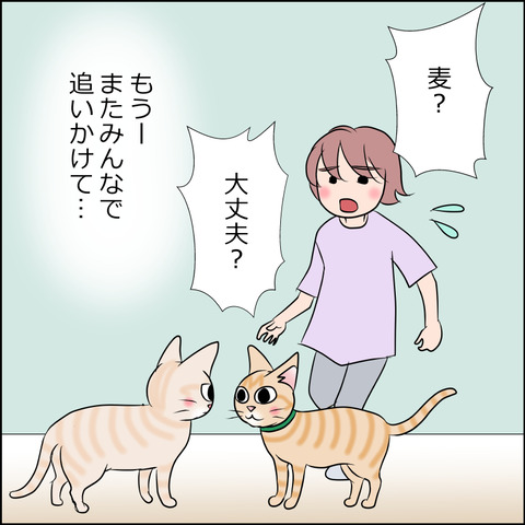 あんこ＆麦STORY1934c