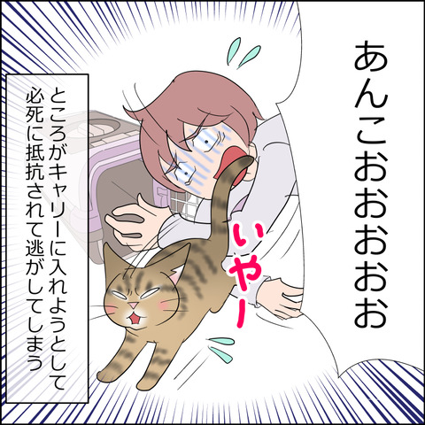 hinan003d