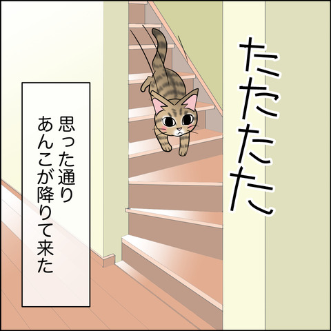 あんこ＆麦STORY2128e