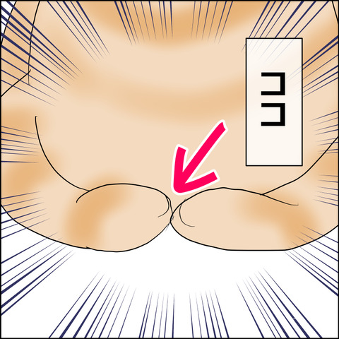 sigoto121b
