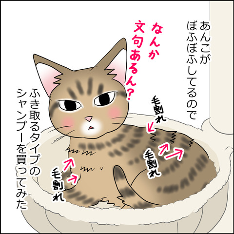 あんこ＆麦STORY1804a