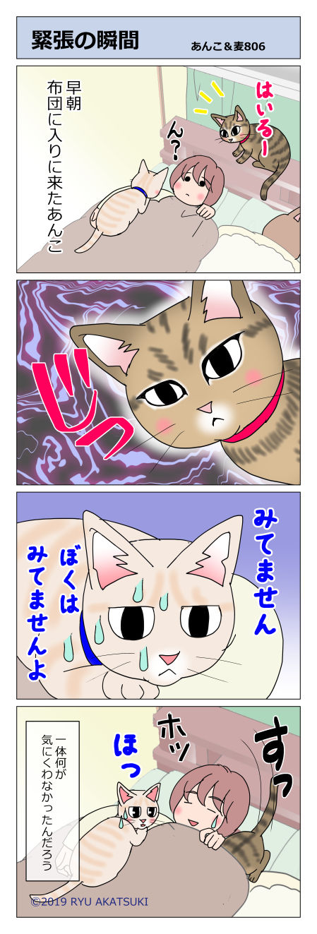 あんこ&麦STORY806