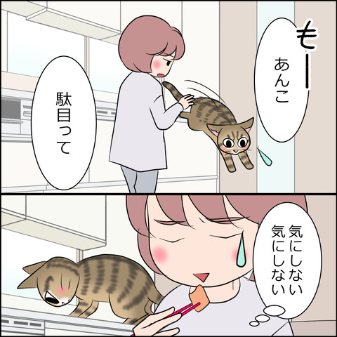 あんこ&麦STORY1800c