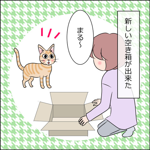 あんこ＆麦STORY1784a