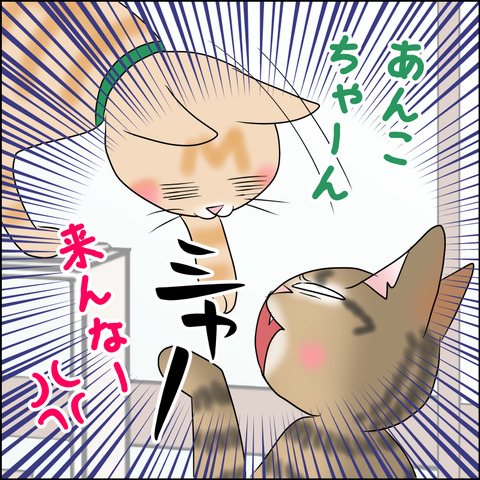 あんこ＆麦STORY1985c
