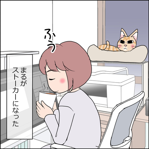 mugitabi029d