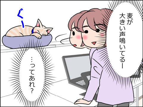 あんこ&麦STORY1634b