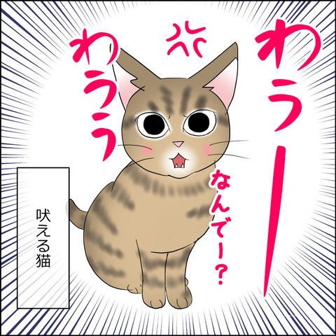 あんこ&麦STORY2235b