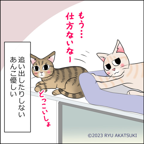 あんこ&麦STORY1912d