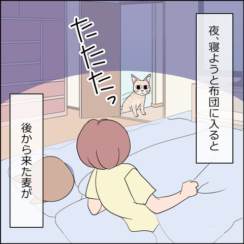 あんこ＆麦STORY2345a