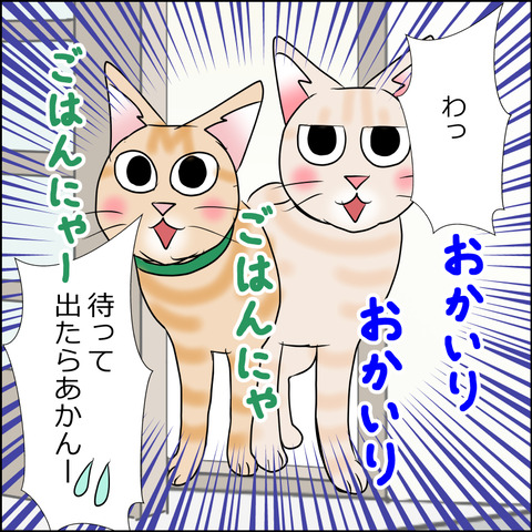 あんこ＆麦STORY1725c