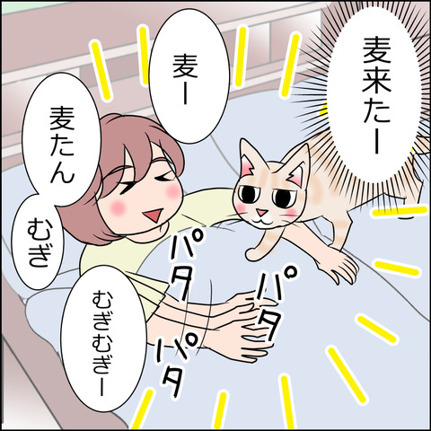 あんこ＆麦STORY1650c