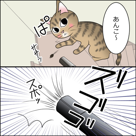 あんこ&麦STORY2099c