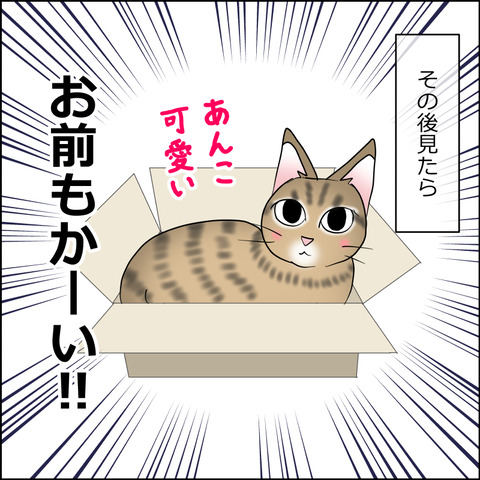 あんこ＆麦STORY2421c