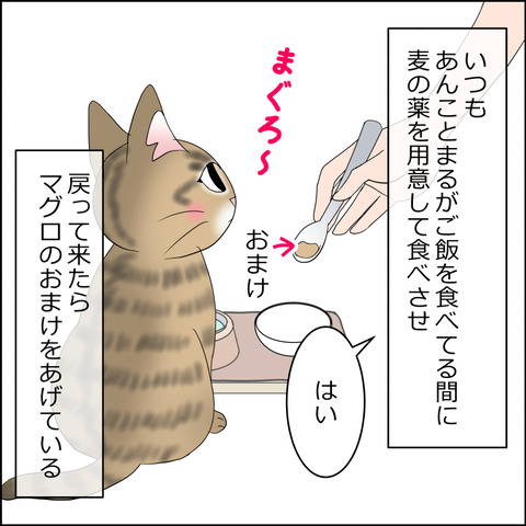 あんこ＆麦STORY2354a