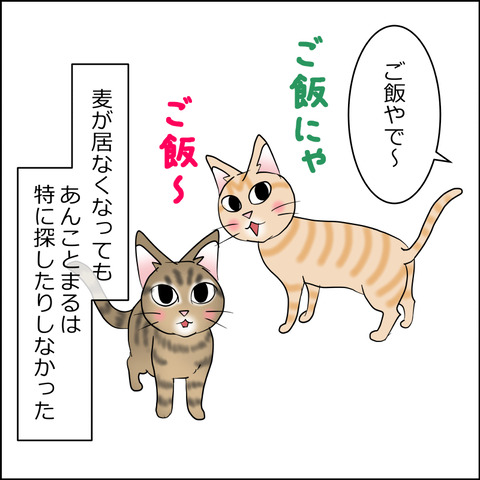 mugitabi028a