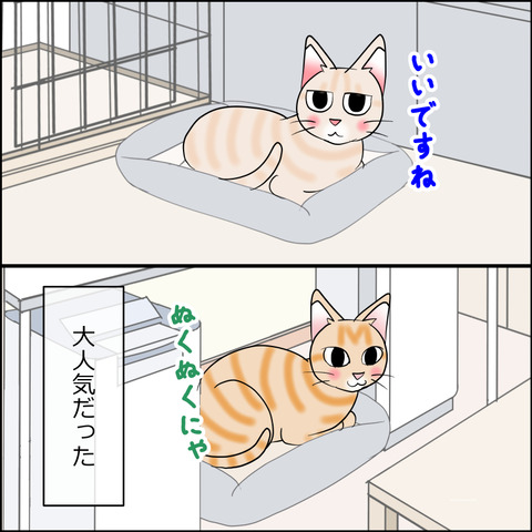 あんこ＆麦STORY2370c