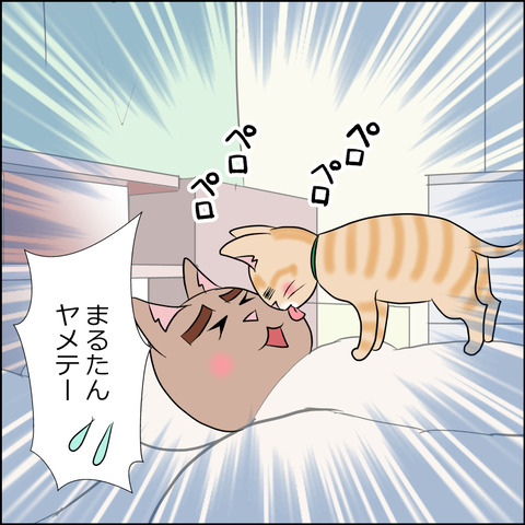 あんこ＆麦STORY1803b