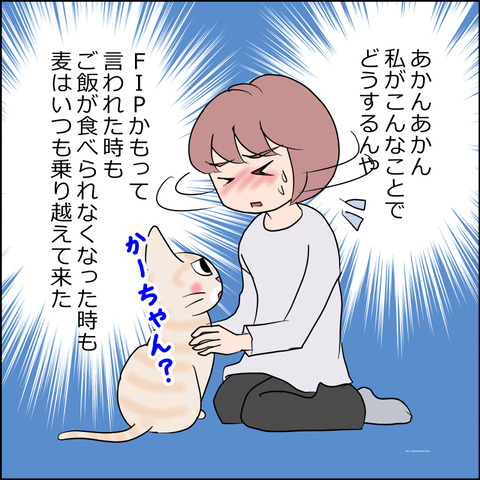 mugitabi006c