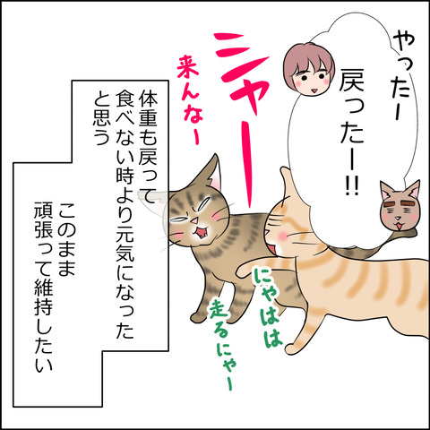 あんこ&麦kenko165d