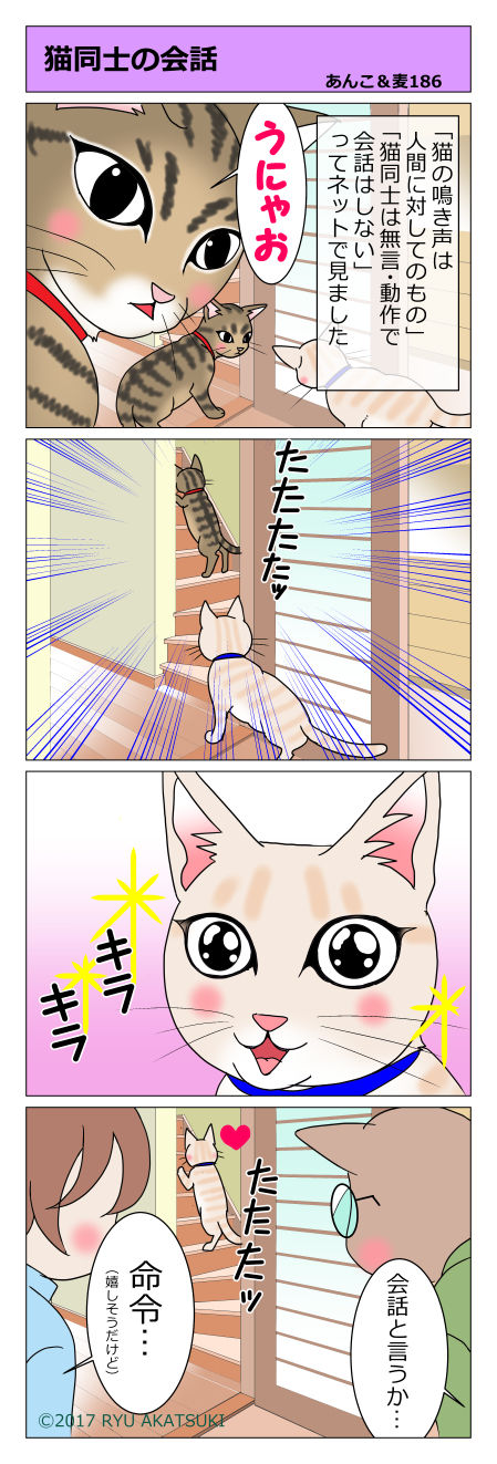 あんこ&麦STORY186