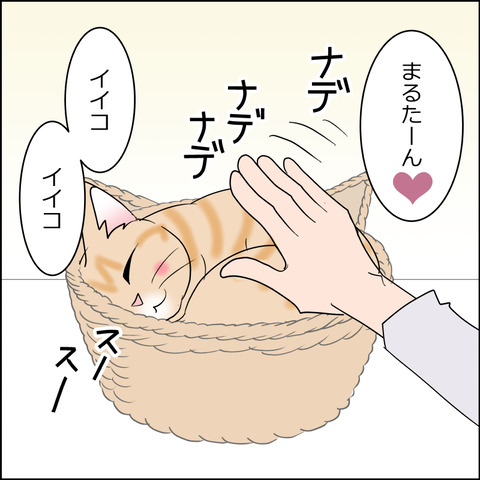 あんこ＆麦STORY2449c