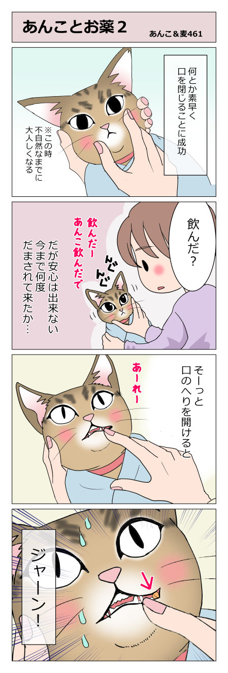 あんこ&麦STORY461
