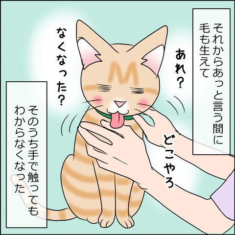 あんこ＆麦kenko53c